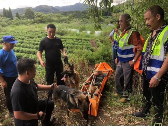 缉毒，搜救，追踪，拦截！它们“犬”力以赴！