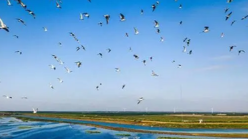 八个关键词 盘点我国生态“成绩单”