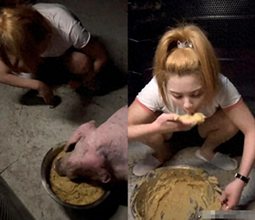 不学无术的小丑，赚的盆满钵满，到底谁买单