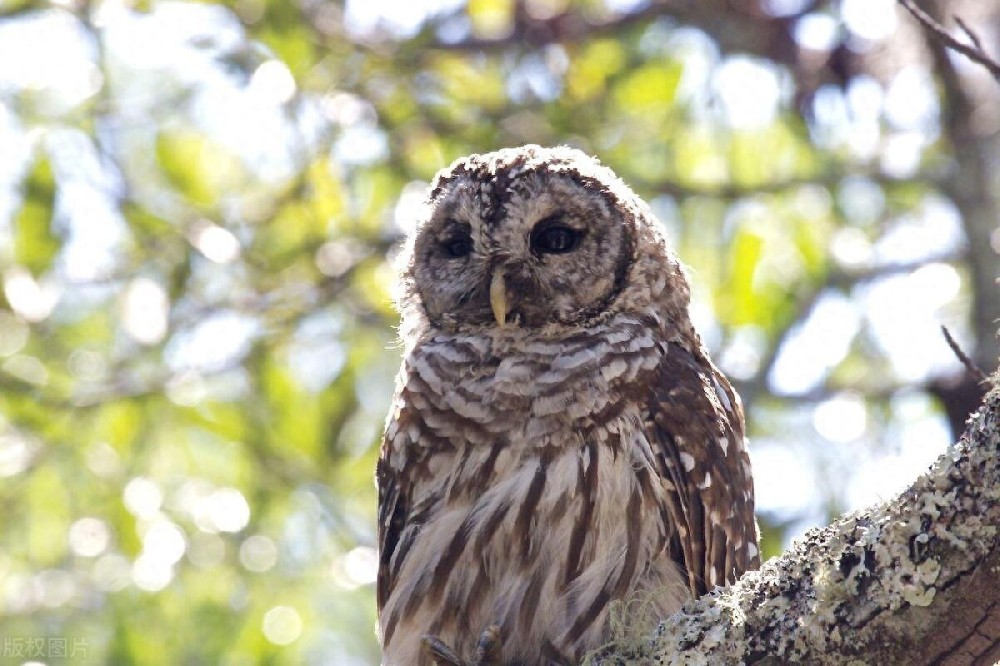 熊导航报道：家中四种警示，危机悄然降临。老祖宗的忠告，可信吗？