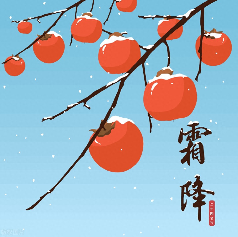 霜降三不惊，丰收在望”：解读农谚“霜降三不现，农民不发愁”的奥秘