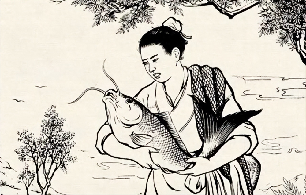 意外揭秘！男子放生时发现鱼肚有惊人秘密，新婚夜惊现妻子腹部刀痕