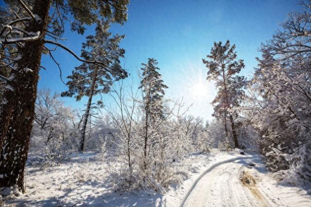 不能立碑的四种人：新坟、无子嗣、横死者与夭折者