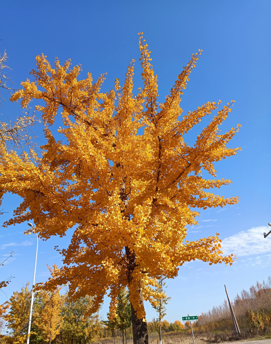 熊导航报道：不妨仰望天空，发现生活中不一样的美丽与奇迹！