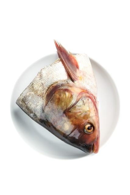 白鲢鱼为何备受指责却被大规模养殖？这是我刚刚了解到的事实