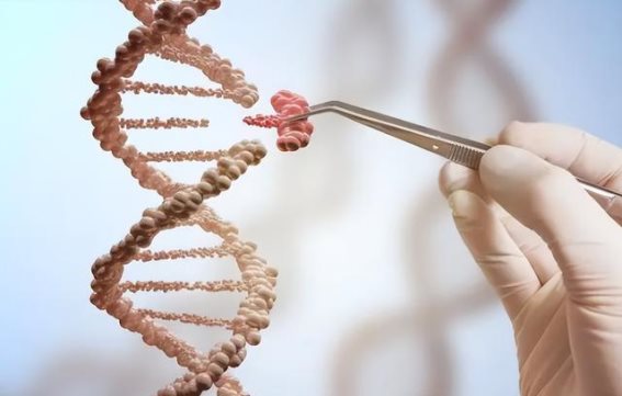 食用油中的致癌成分：如何选择安全食用油及正确使用？