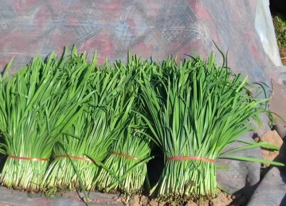 菜市场里的健康隐患：七种需警惕的食材处理方式