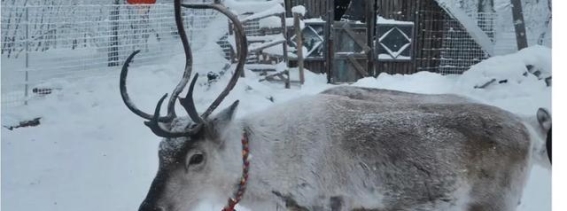 白雪之旅：长白山游记全揭秘，实用攻略带你畅享冰雪世界