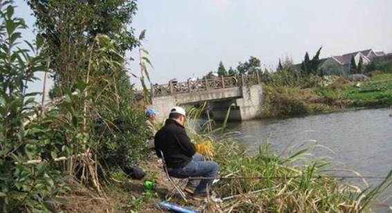 冬日鲫鱼垂钓心得：5秘技助你丰收