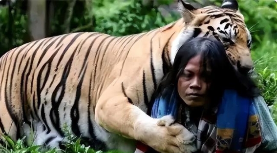 野兽暴行：世间三大食人凶兽的残酷噩梦