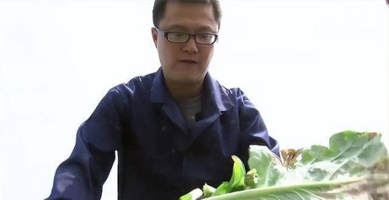 北大才子杨舒春：创业有道，种植梦想的绿色农业之路