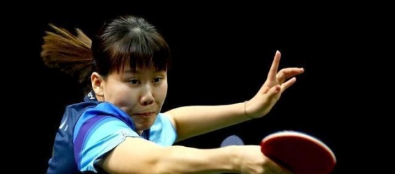 决战巅峰：足球世界杯背后的激情与意义