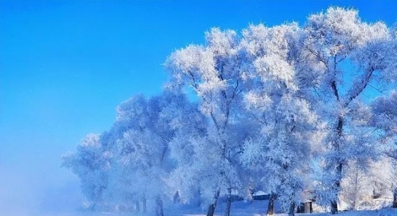 冬日寻梦：八大旅游胜地，迎接12月的冰雪世界！