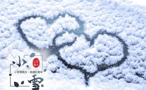 寒冬之际，小雪食养五宝，健康守护冬日暖意