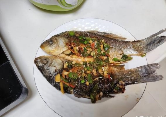 冬日美味，鱼肴之选