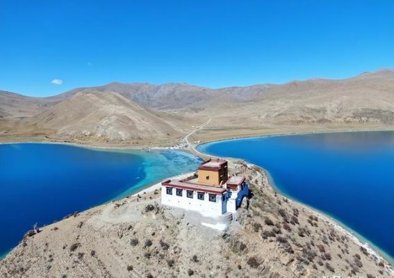 西藏羊湖的鱼群之谜：信仰、保护与生态危机