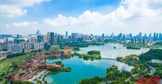 在西湖与望月的怀抱中，寻找心灵的宁静