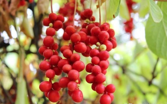 恢复心气，重拾活力