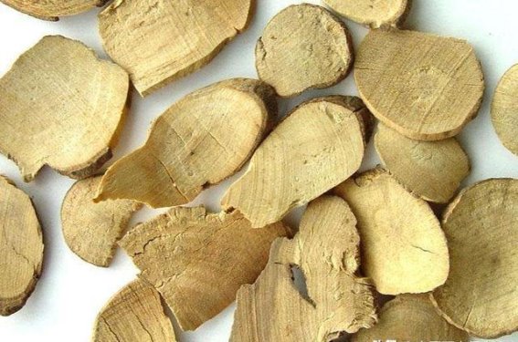 夜尿多，老是起夜怎么办？3种中药助你缩尿远离烦恼