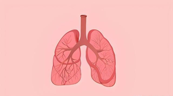 睡到凌晨三四点醒？可能是火气太大，一盒中成药，让你一觉到天亮