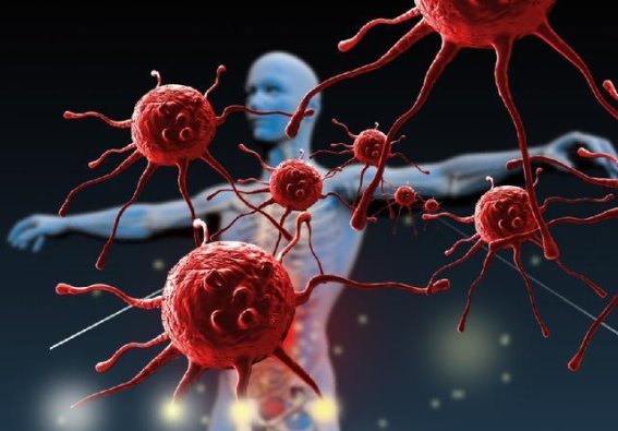 体温降低是好事还是坏事？你需要了解的真相