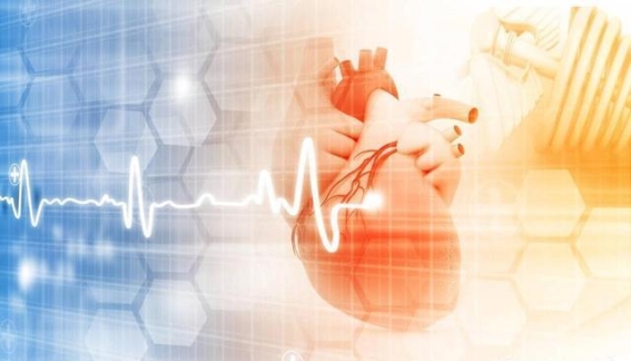 冬季心血管疾病防控与应急措施