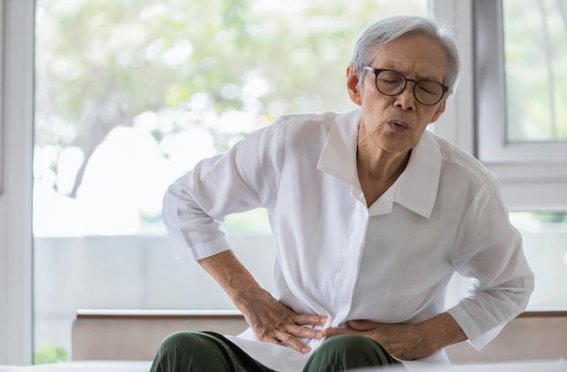 鱼腥草真的适合你吗？肠胃舒适的秘密武器是这些