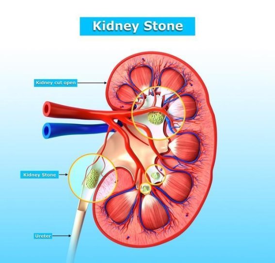 如何通过8个健康指标识别潜在风险，助力长寿