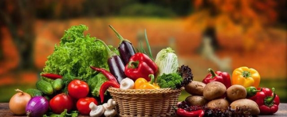 蔬菜与健康：中医视角下的饮食智慧