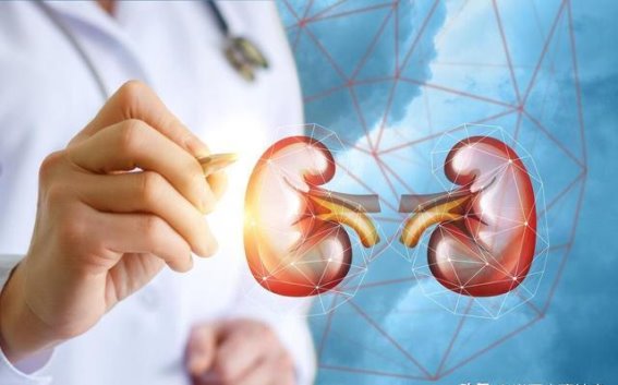 西地那非、他达拉非与阿伐那非：如何选择最适合你的药物？