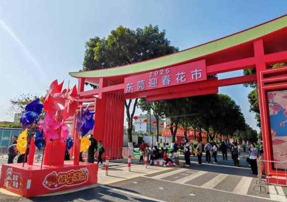 东莞迎春花市：花开四季，欢乐共享