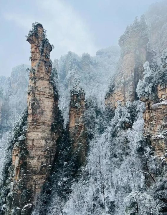 张家界5天4晚跟团游详细攻略