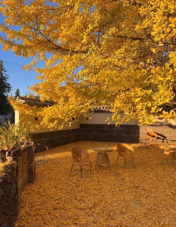 和朋友一起探索云南：六日游全攻略