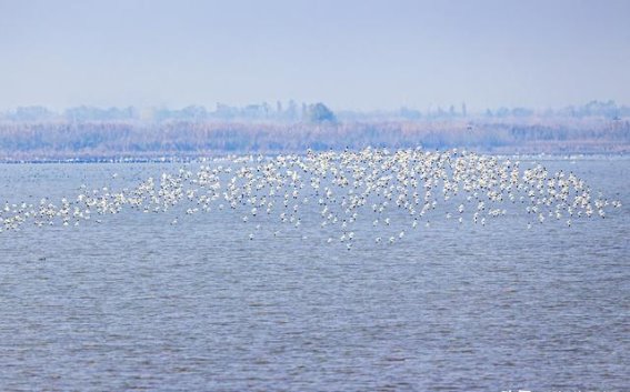 光影交织，摄影大师齐聚共绘视觉盛宴