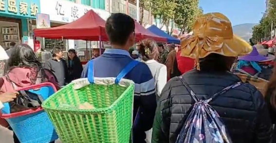 大理凤仪镇：乡愁与热闹交织的家园