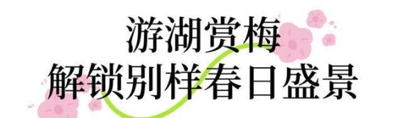 武昌沙湖公园：水上赏梅，探索春日的美丽与宁静
