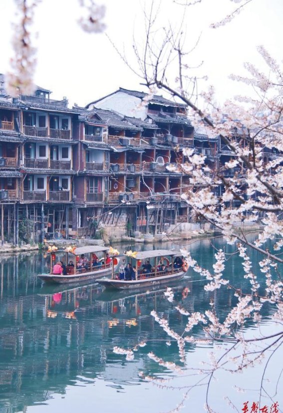 凤凰古城的初春浪漫