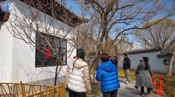 腊梅迎春，天津的春天悄然降临