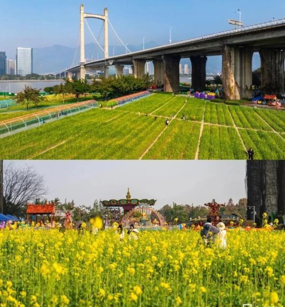 春风拂面，花开如梦——探寻春天的温暖与希望