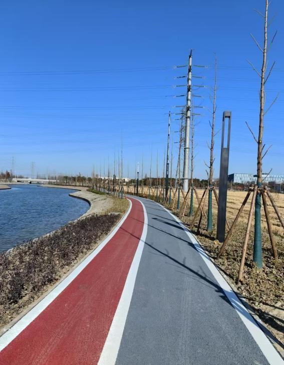 青浦新城绿环绿道一期全面完工，打造水乡特色绿色空间