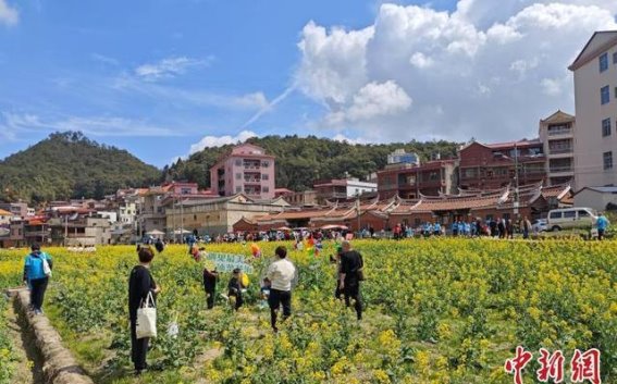 春风拂过油菜花海，虹山乡乡村振兴新篇章