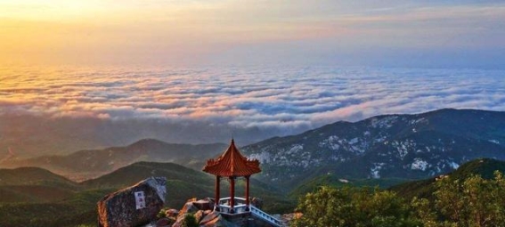 青岛与潍坊：山东沿海两城的较量与前景