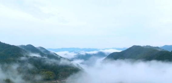 岚关村：绿色发展与乡愁交织的故土情怀