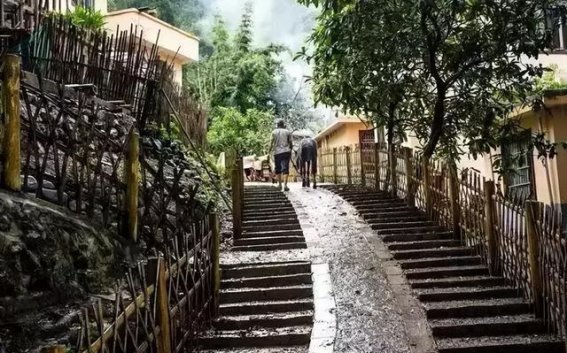 梧州的两大传统村落：在时光中寻找古韵与自然