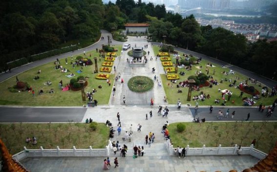 春游游仙，阳光、花海与乡野的完美邂逅