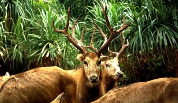 哪吒之魔童闹海带来的惊艳景区优惠让你穿越神话与现实