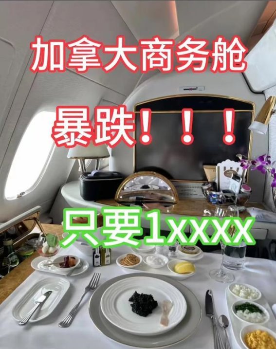 学会了加拿大机票这样买太便宜了，2025年出行必看攻略