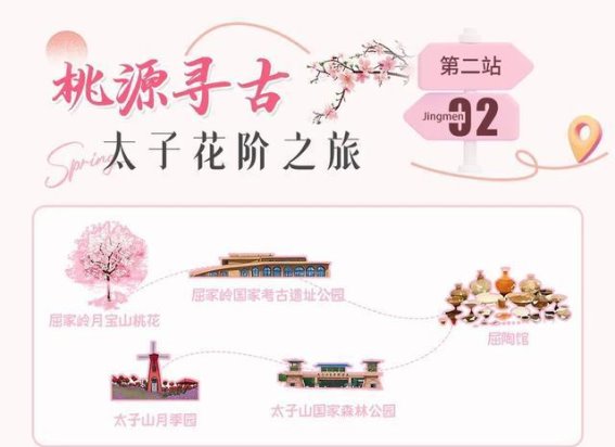 荆门春日花海：八条赏花线路等你来探寻