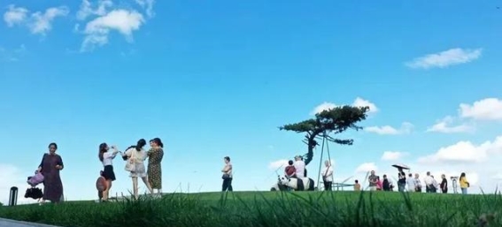 叙永踏青赏花季：露营与自然的完美邂逅