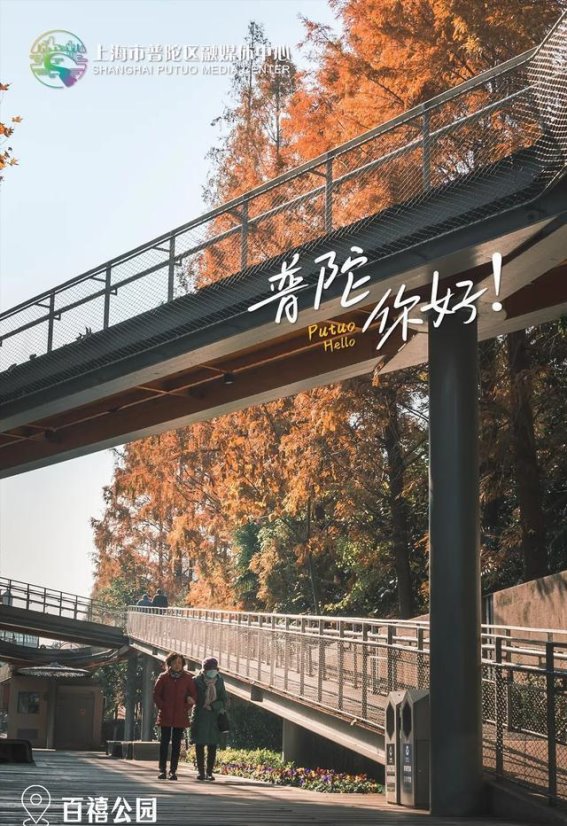 春日盛景，普陀的多彩魅力